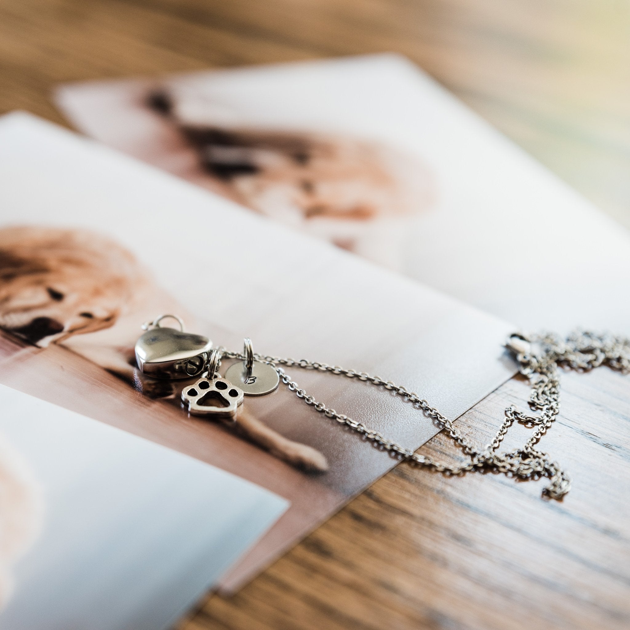Pet Ashes into Jewelry - Make the Memory of Your Pet Last Forever -  Floppycats™